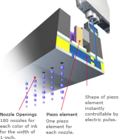 APEX – Micro Piezo Printer - APEX Digital Flatbed UV Printer & DTF Printer, Print Your Color Life!