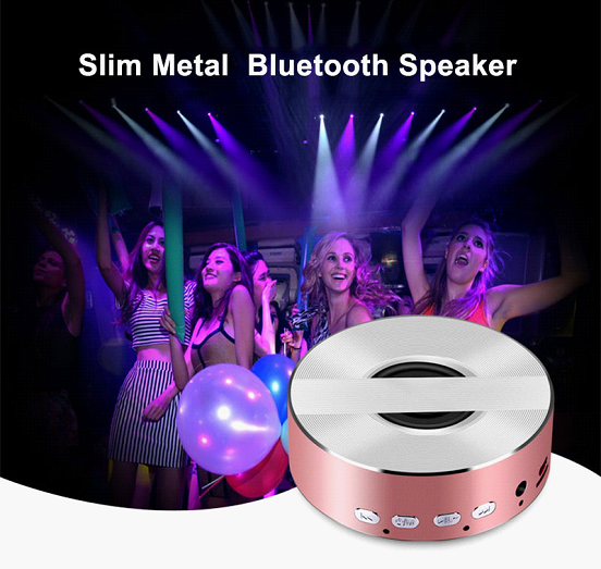 Speaker manufacturer